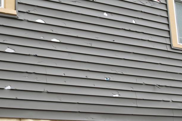 Best Historical Building Siding Restoration  in Reidsville, NC